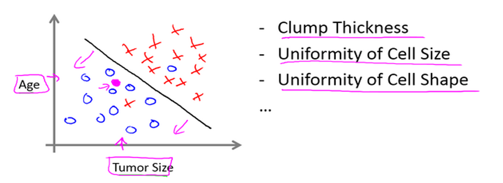 image-20250623180909704